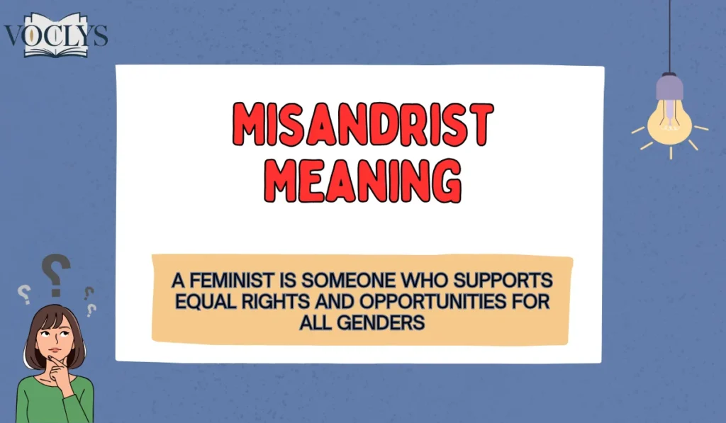Misandrist vs Feminist