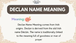 Declan Name Meaning
