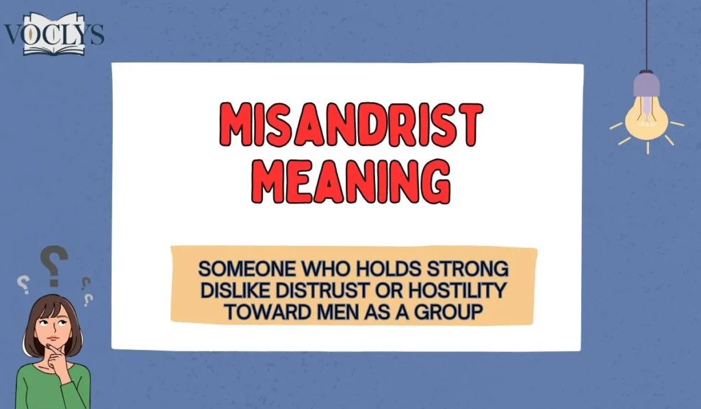 Misandrist Meaning