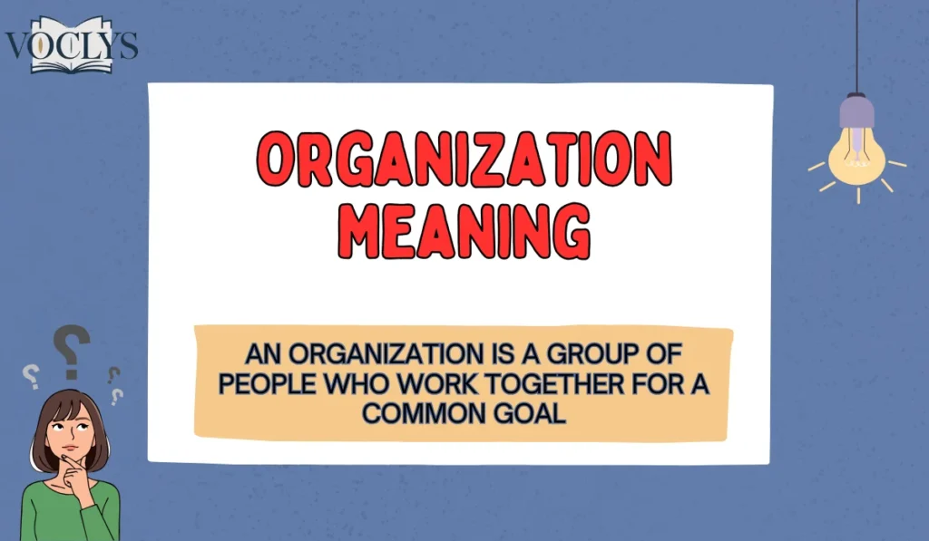 Organization Meaning