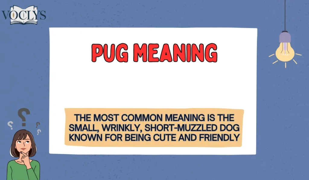 Pug Meaning