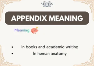 Appendix Meaning