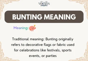 Bunting Meaning