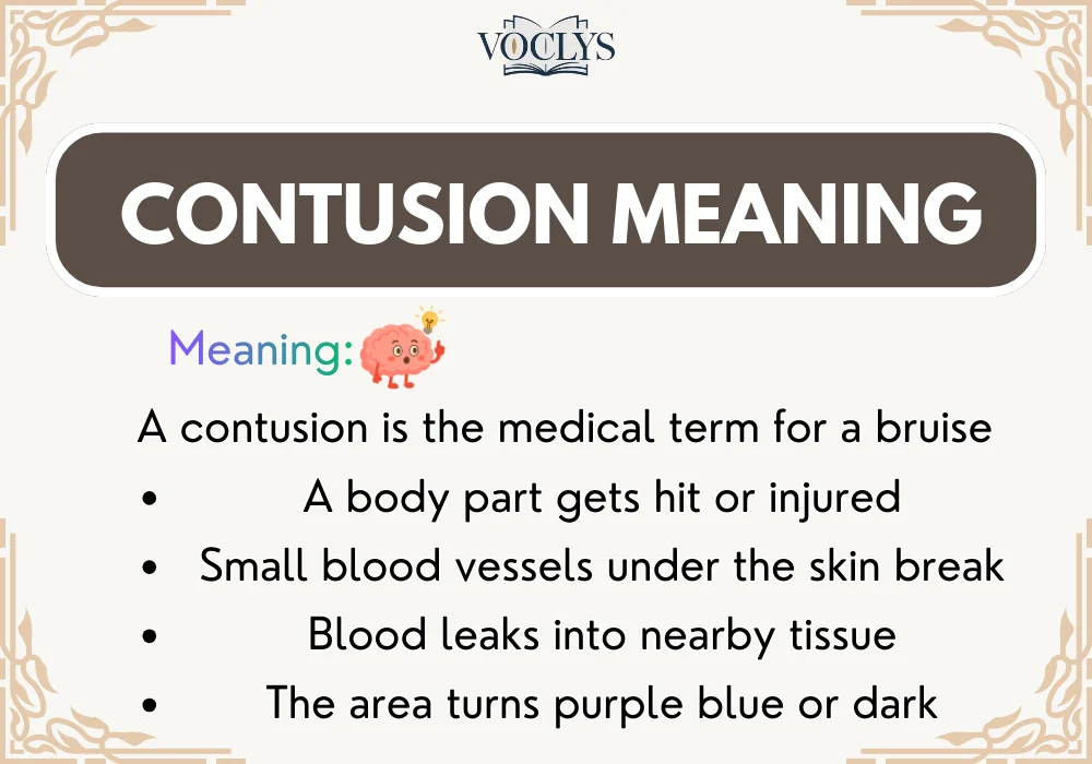 Contusion Meaning