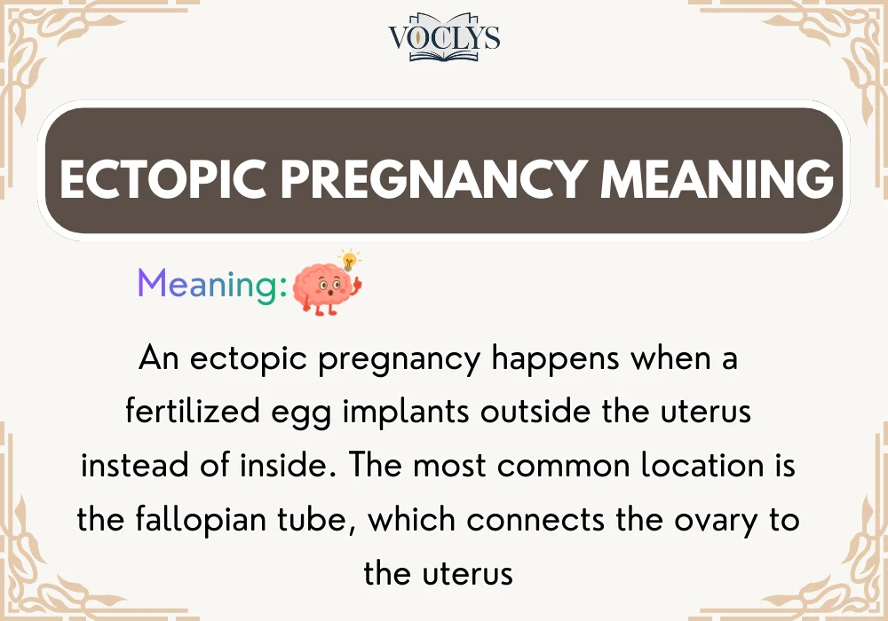 Ectopic Pregnancy Meaning