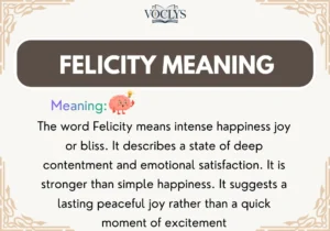 Felicity Meaning