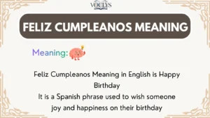 Feliz Cumpleanos Meaning