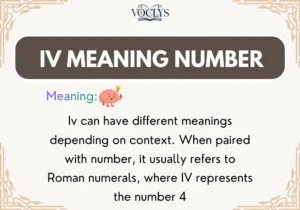 Iv Meaning Number