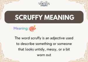 Scruffy Meaning