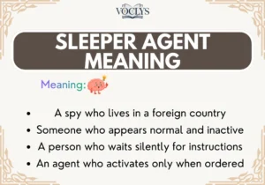 Sleeper Agent Meaning