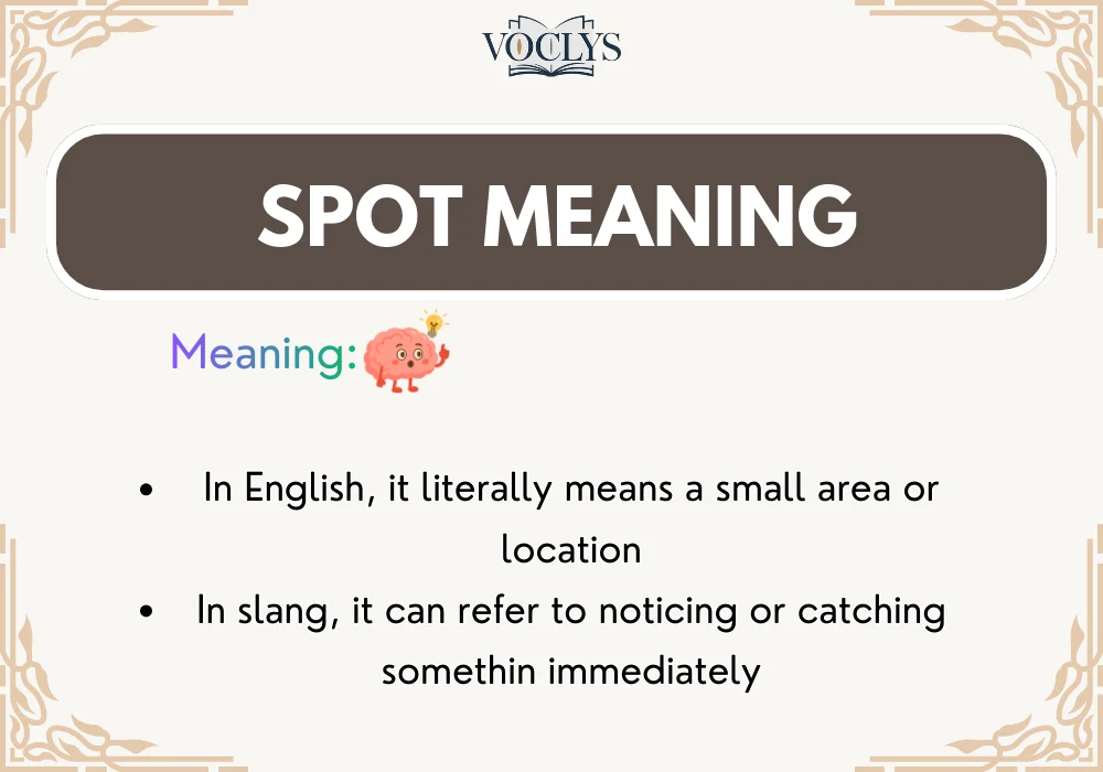Spot Meaning