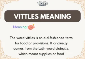 Vittles Meaning
