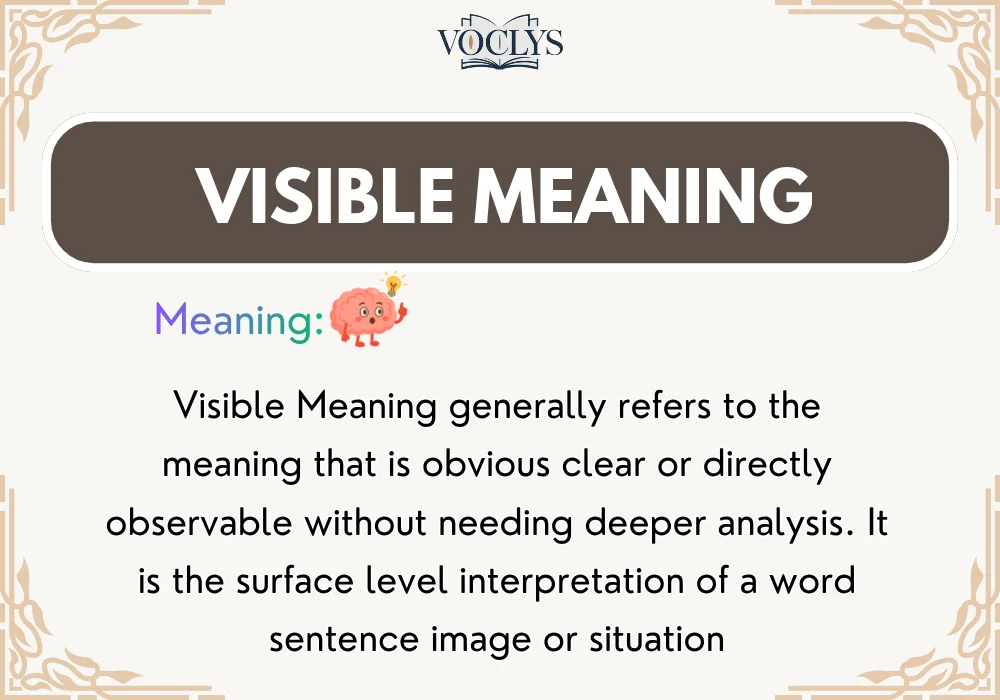Visible Meaning