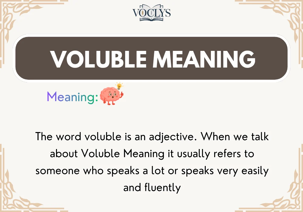 Voluble Meaning