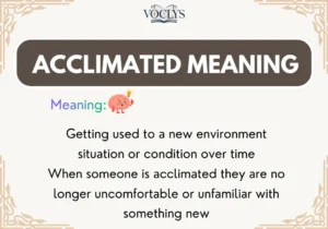Acclimated Meaning