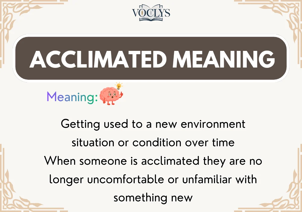 Acclimated Meaning