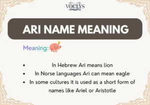 Ari Name Meaning