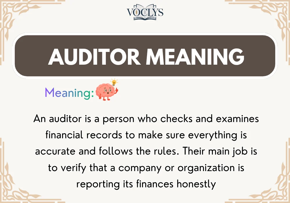 Auditor Meaning