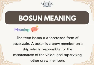 Bosun Meaning