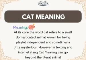 Cat Meaning