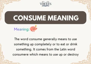 Consume Meaning