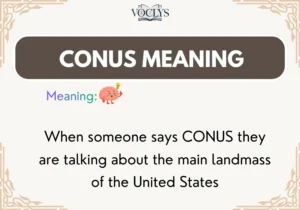 Conus Meaning