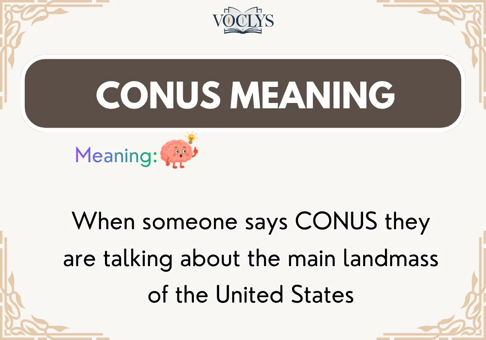 Conus Meaning