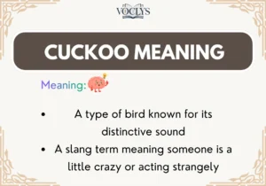 Cuckoo Meaning