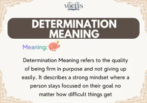 Determination Meaning