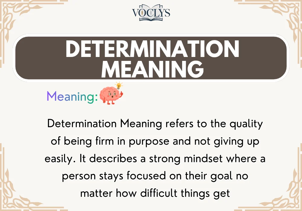 Determination Meaning