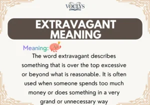 Extravagant Meaning