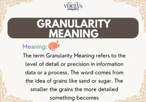Granularity Meaning