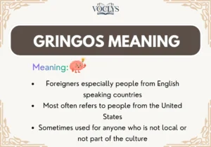 Gringos Meaning