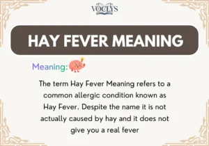 Hay Fever Meaning