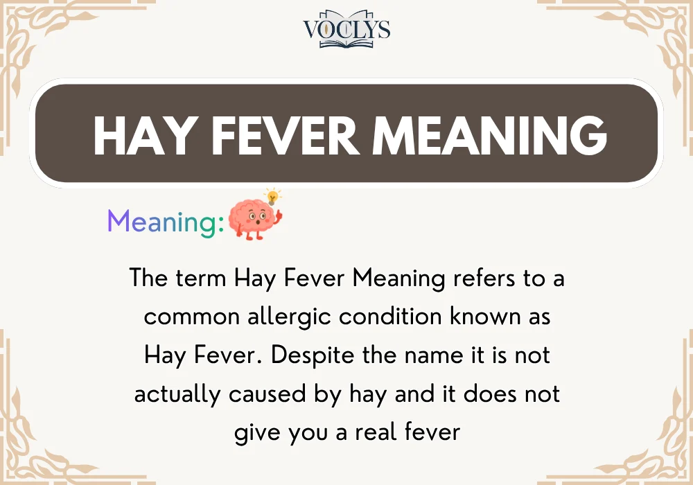 Hay Fever Meaning