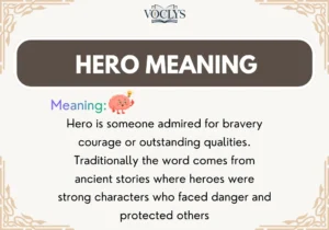 Hero Meaning