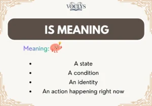 Is Meaning