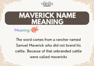 Maverick Name Meaning