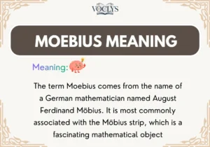Moebius Meaning