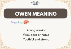Owen Meaning