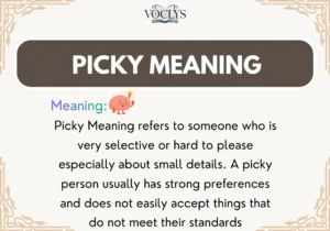 Picky Meaning