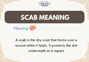 Scab Meaning
