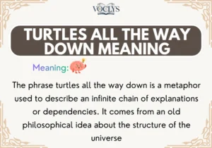 Turtles All The Way Down Meaning