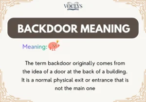 Backdoor Meaning