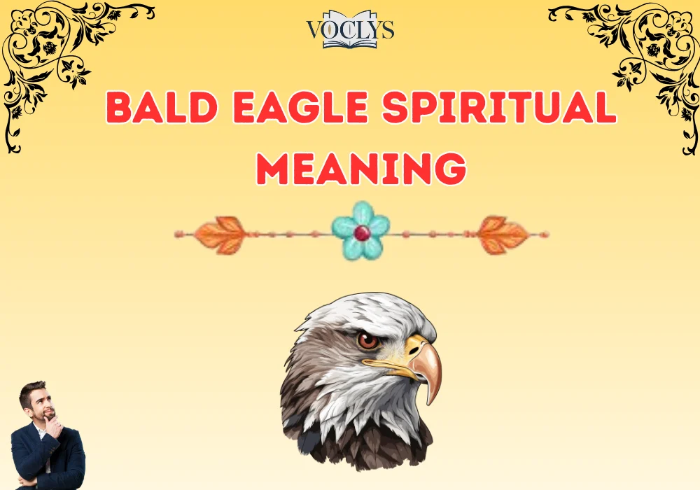 Bald Eagle Spiritual Meaning