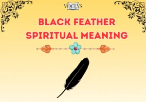 Black Feather Spiritual Meaning