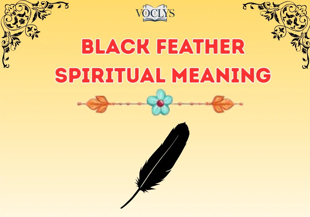 Black Feather Spiritual Meaning