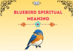 Bluebird Spiritual Meaning