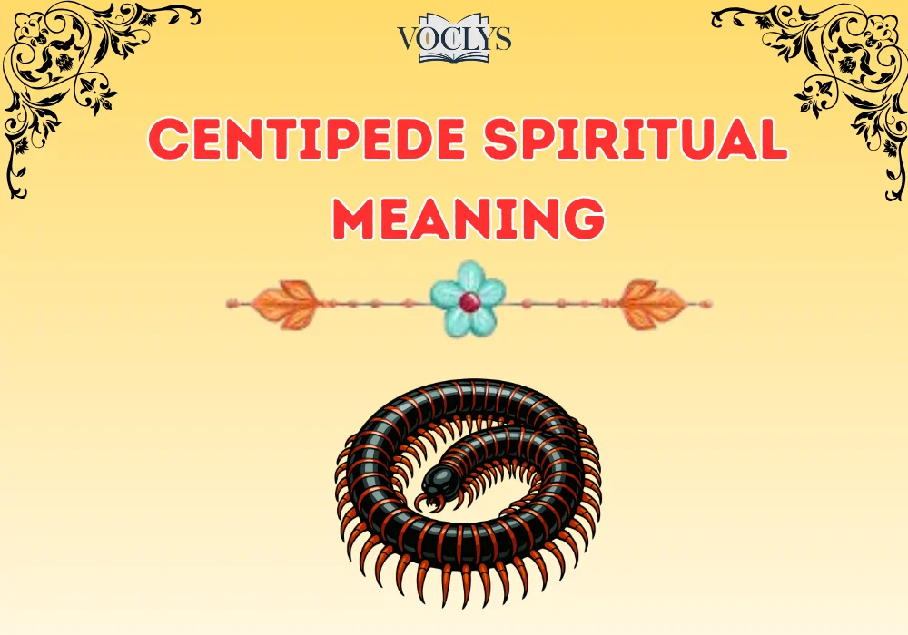 Centipede Spiritual Meaning