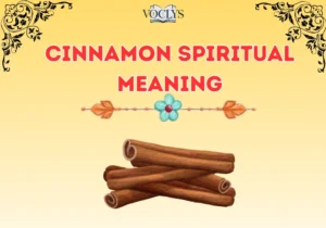Cinnamon Spiritual Meaning